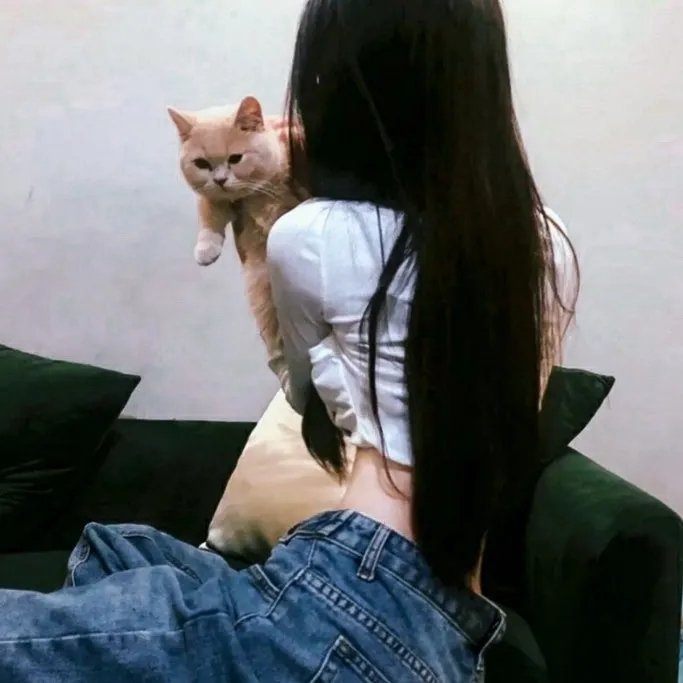 一袋锤子